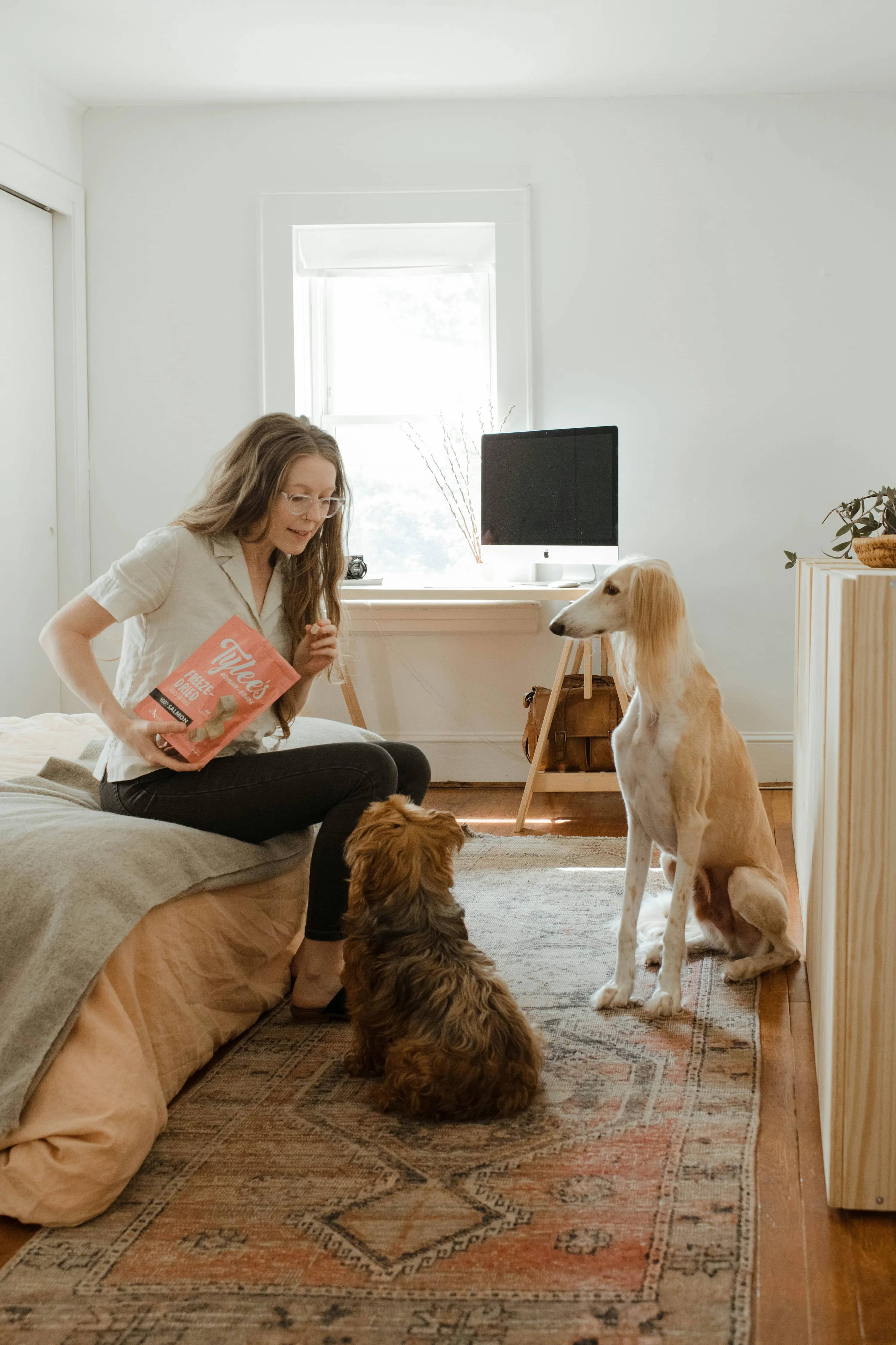 Günstiger Pet Sitting per App