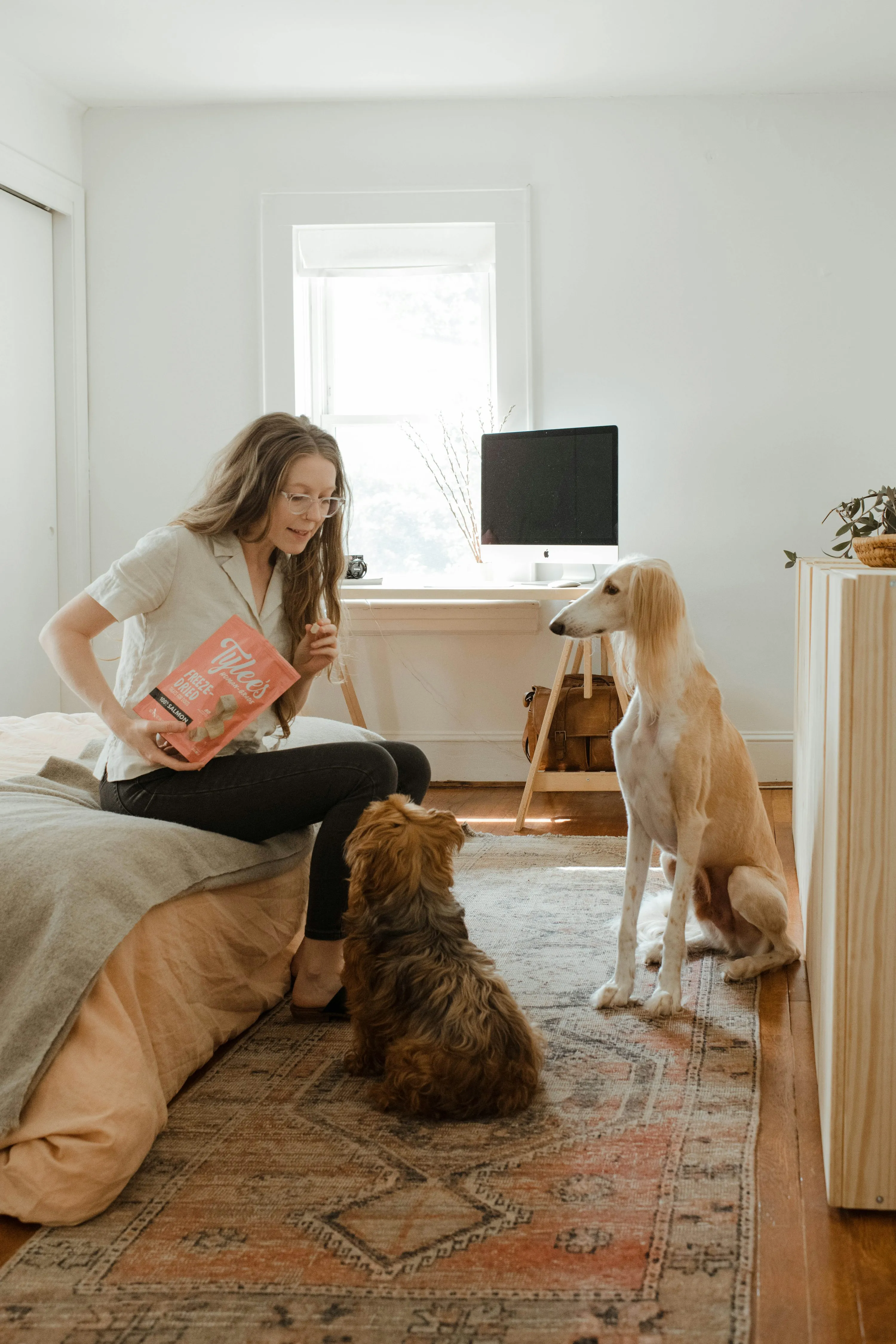 Günstiger Pet Sitting per App