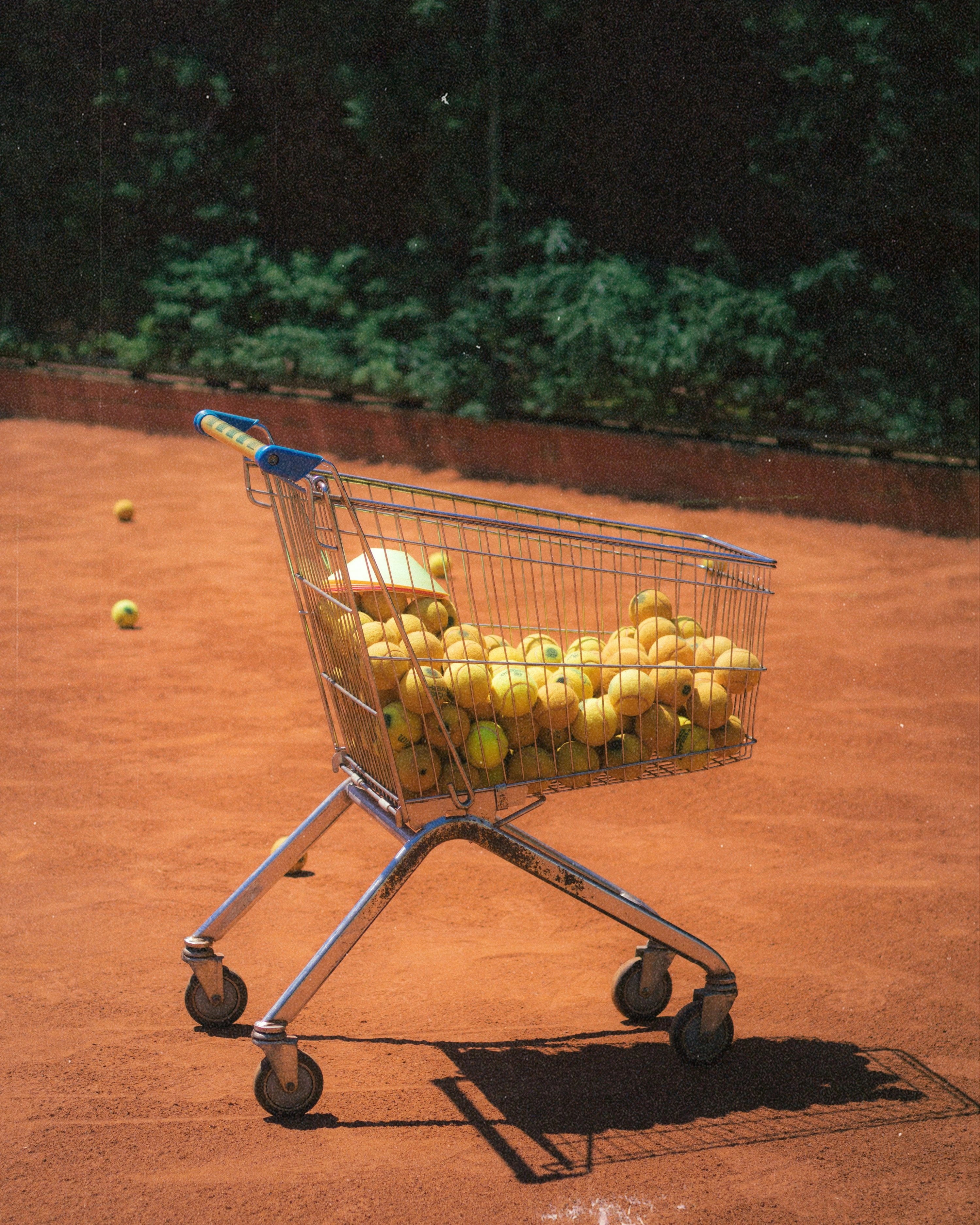 Lebensmittelkosten fair teilen: So klappt’s mit Shared-Cart-Apps (5 praktische Picks)